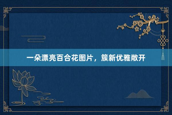 一朵漂亮百合花图片,簇新优雅敞开